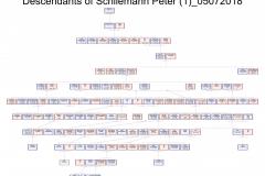 Descendants-of-Schliemann-Peter-1_05072018