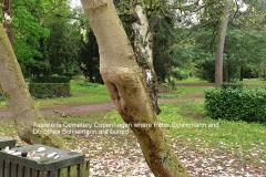 Assistens-Cemetery-5