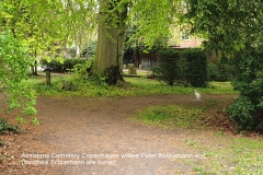 Assistens-Cemetery-6