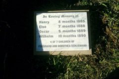 Ferdinand-and-Dorotheas-4-babies-buried-at-Wavereley-Cemetery-1885-to-1890