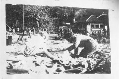 Joan-and-Ron-Schliemann-in-1950s-at-perhaps-Bronte-or-Nielsen-Park-Sydney